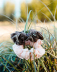 Revolutionize your look with Kooshoo's chic hair scrunchie. Sustainable style, effortless elegance. Grab yours today!